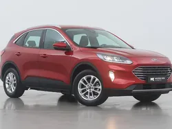 Rood Gebruikt 2021 Ford Kuga Titanium SUV | € 23.400 (Super prijs)