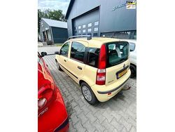 Geel Gebruikt 2009 Fiat Panda Hatchback | € 599 (Goede deal)