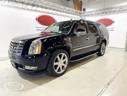 Zwart Gebruikt 2010 Cadillac Escalade SUV | € 24.000