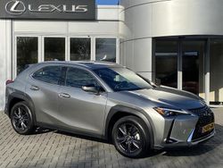 Grijs Gebruikt 2024 Lexus UX 250h SUV | € 40.900 (Iets duurder)