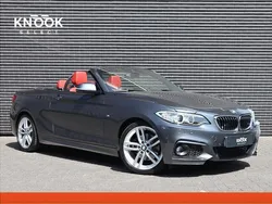 Grijs Gebruikt 2015 BMW 220 M Sport Cabriolet | € 19.995 (Iets duurder)