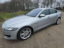 Zilver Gebruikt 2015 Jaguar XF Portfolio Sedan | € 10.000