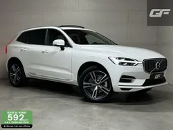 Wit Gebruikt 2019 Volvo XC60 Inscription SUV | € 36.950 (Eerlijke prijs)