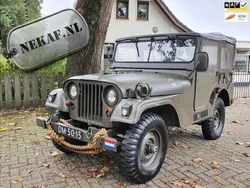 Groen Gebruikt 1958 Jeep Willys | € 21.950