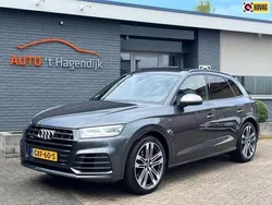 Grijs Gebruikt 2017 Audi SQ5 Basis SUV | € 48.950 (Duur)