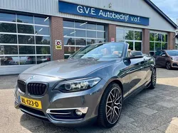 Grijs Gebruikt 2018 BMW 220 Executive Cabriolet | € 21.250 (Goede deal)