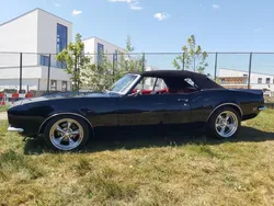 Zwart Gebruikt 1968 Chevrolet Camaro Cabriolet | € 48.950