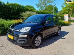 Zwart Gebruikt 2015 Fiat Panda Hatchback | € 2.800