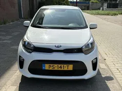 Wit Gebruikt 2017 Kia Picanto Hatchback | € 8.000 (Goede deal)