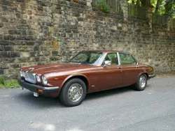 Bruin Gebruikt 1982 Jaguar XJ12 Sedan | € 27.500