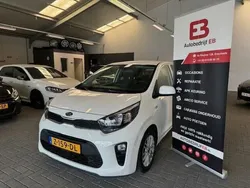 Wit Gebruikt 2017 Kia Picanto First Edition Hatchback | € 9.750 (Eerlijke prijs)