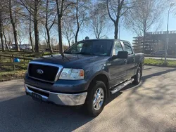 Overige Gebruikt 2006 Ford F-150 Pickup | € 10.999