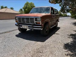 Rood Gebruikt 1986 Ford Bronco XLT SUV | € 19.950