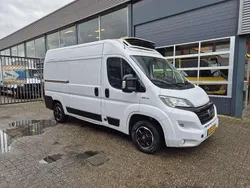 Wit Gebruikt 2019 Fiat Ducato Van | € 19.950