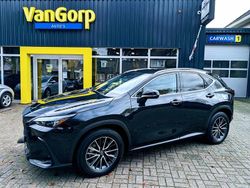 Overig Gebruikt 2024 Lexus NX450h+ Luxury Line SUV | € 51.995 (Super prijs)