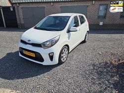 Wit Gebruikt 2017 Kia Picanto Hatchback | € 7.999 (Eerlijke prijs)
