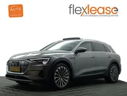Grijs metallic Gebruikt 2019 Audi e-tron Advanced SUV | € 29.900 (Duur)