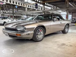 Bruin Gebruikt 1994 Jaguar XJS S Cabriolet | € 17.000