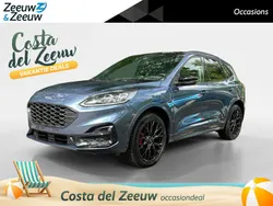 Blauw Gebruikt 2022 Ford Kuga ST-Line X SUV | € 25.935 (Eerlijke prijs)