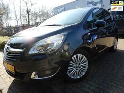Groen Gebruikt 2014 Opel Meriva Design Edition MPV | € 5.750 (Eerlijke prijs)