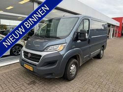 Grijs Gebruikt 2015 Fiat Ducato Van | € 8.499 (Eerlijke prijs)