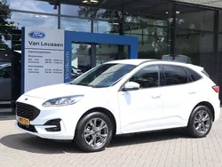Wit Gebruikt 2024 Ford Kuga ST-Line SUV | € 32.800 (Eerlijke prijs)