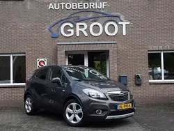 Grijs Gebruikt 2015 Opel Mokka Cosmo SUV | € 9.950 (Eerlijke prijs)