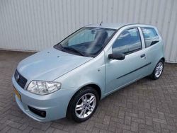 Groen Gebruikt 2005 Fiat Punto Hatchback | € 1.395 (Eerlijke prijs)