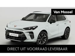 Wit Nieuw 2025 Cupra Terramar SUV | € 48.475 (Eerlijke prijs)