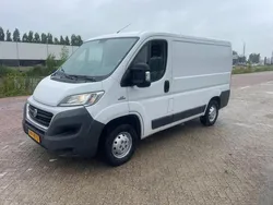 Wit Gebruikt 2016 Fiat Ducato Van | € 6.950 (Super prijs)