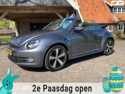 VW Beetle
