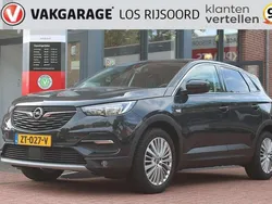Grijs Gebruikt 2019 Opel Grandland X Innovation SUV | € 13.990 (Goede deal)