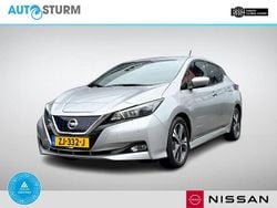 Zilver Gebruikt 2019 Nissan Leaf 360º Hatchback | € 12.950 (Eerlijke prijs)