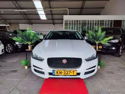 Wit Gebruikt 2016 Jaguar XE Pure Sedan | € 3.950