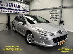 Grijs Gebruikt 2008 Peugeot 407 Business-Line Stationwagen | € 2.449 (Eerlijke prijs)