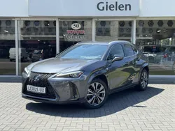 Grijs Gebruikt 2023 Lexus UX 250h Sport Line SUV | € 41.900 (Eerlijke prijs)