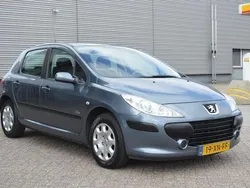 Grijs Gebruikt 2007 Peugeot 307 Hatchback | € 2.749 (Iets duurder)