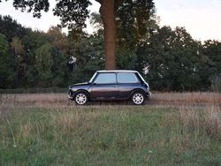 Zwart Gebruikt 2000 Mini 1300 Hatchback | € 9.990