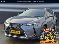 Grijs Gebruikt 2020 Lexus UX 300e Business Edition SUV | € 23.900