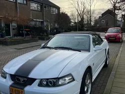 Wit Gebruikt 2004 Ford Mustang Convertible Cabriolet | € 11.000