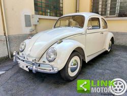 Wit Gebruikt 1963 VW Beetle Sedan | € 24.900
