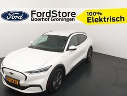 Wit Gebruikt 2023 Ford Mustang SUV | € 33.890 (Eerlijke prijs)