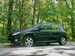 Zwart Gebruikt 2007 Peugeot 206 Hatchback | € 1.495 (Eerlijke prijs)