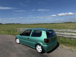Groen Gebruikt 1997 VW Polo Hatchback | € 1.795 (Eerlijke prijs)