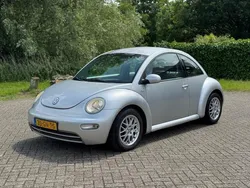 VW Beetle