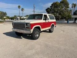 Rood Gebruikt 1981 Ford Bronco XLT SUV | € 19.950