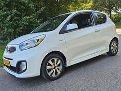 Wit Gebruikt 2015 Kia Picanto Hatchback | € 4.500 (Iets duurder)