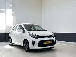 Wit Gebruikt 2020 Kia Picanto Comfort Hatchback | € 9.849 (Eerlijke prijs)