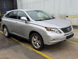 Grijs Gebruikt 2010 Lexus RX450h SUV | € 23.950 (Eerlijke prijs)