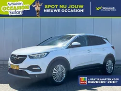 Wit Gebruikt 2020 Opel Grandland X Innovation SUV | € 18.735 (Eerlijke prijs)